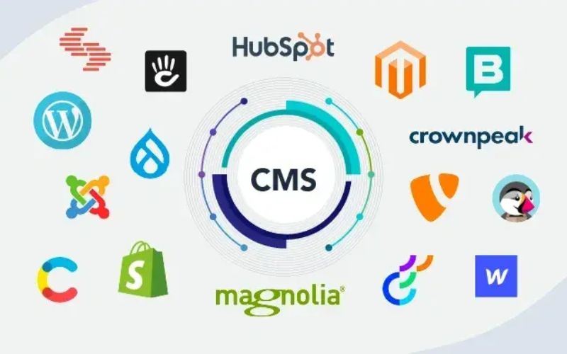Tiêu chí lựa chọn CMS là gì?