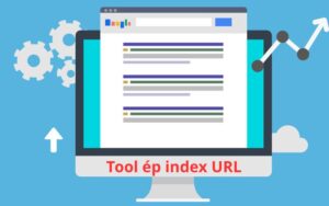 Tool ép index URL là công cụ gì?